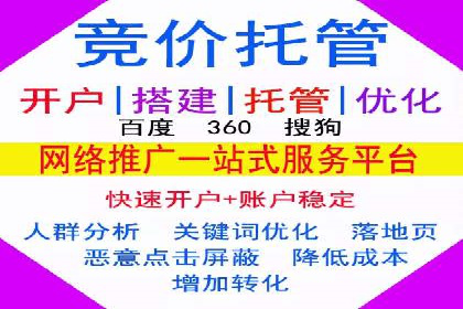 某某sem广告公司成功案例：如何通过SEM优化提高电商销售额